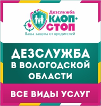Баннер 2